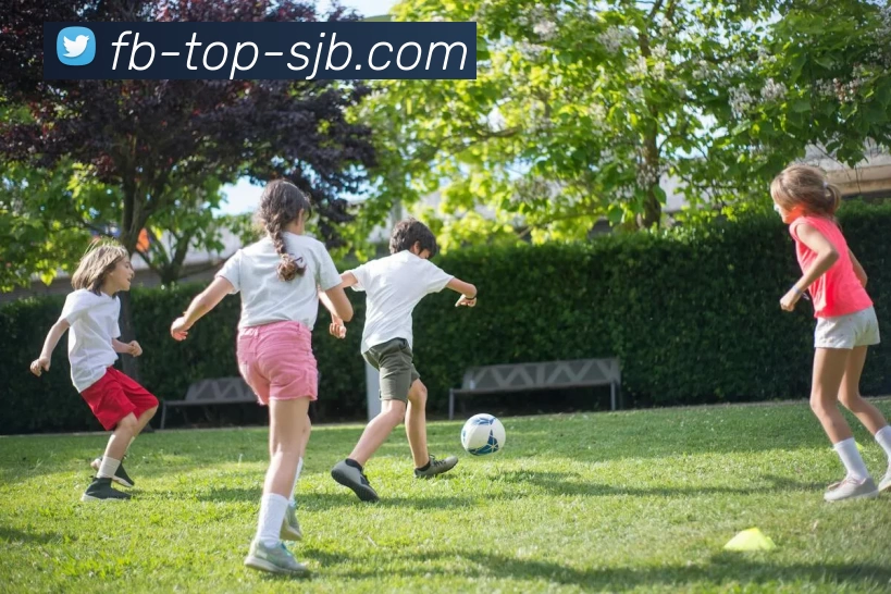 FB Top，FB体育官网，FB体育热门赛事，FB体育APP平台生态图